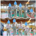 FEPS Judo : progression des judokas