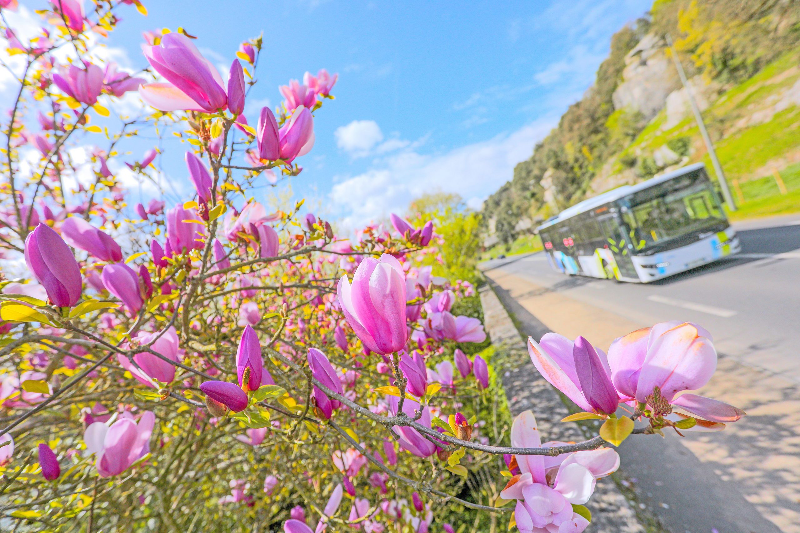Lumières sur les mobilités