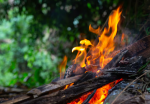 Arrêté préfectoral emploi du feu et du brûlage